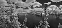 Forest on lake shore, Judd Lake, Superior National Forest, Minnesota