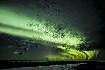 Aurora borealis above coast, Hudson Bay, Manitoba, Canada