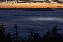Peaks rising above fog, Neva Strait, Sitka, Alaska