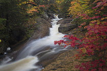 Fall colors along creek, Laurentian Mountains, La Mauricie National Park, Quebec, Canada