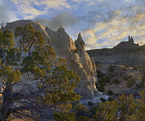 Hoodoos, Cathedral Rock, Red Rock State Park, New Mexico
