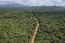 Dirt road in rainforest, Rupununi, Guyana