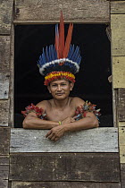 Scarlet Macaw (Ara macao) feathers used in headdress by Wai-wai men, Guyana