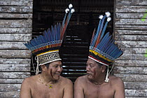 Scarlet Macaw (Ara macao) feathers used in headdress by Wai-wai man, Guyana