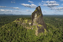Bottle Mountain rising out of rainforest, Rupununi, Guyana