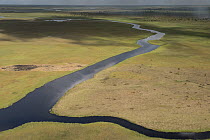 River west of Georgetown, West Demerara Conservancy, Guyana