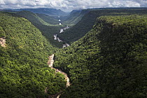 Potaro River in Kaieteur Gorge, Kaieteur National Park, Guyana