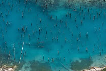 Blue tailing ponds left from bauxite mine, Linden, Guyana