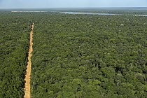 Dirt road in rainforest, Rupununi, Guyana