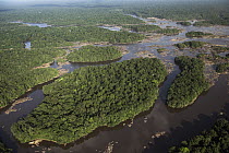Essequibo River in rainforest, Guyana