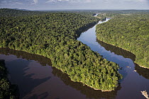 River in rainforest, Kaieteur Falls, Potaro River, Kaieteur National Park, Guyana