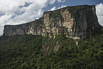 Ayangaik Mountain, Pacaraima Mountains, Guyana