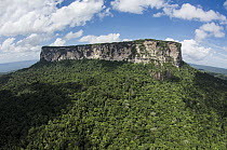 Ayangaik Mountain, Pacaraima Mountains, Guyana