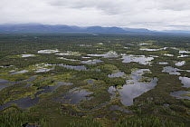 Lakes in taiga, Putoransky State Nature Reserve, Putorana Plateau, Siberia, Russia