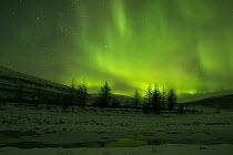 Aurora borealis over river, Putoransky State Nature Reserve, Putorana Plateau, Siberia, Russia