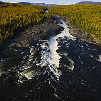 River in taiga, Putoransky State Nature Reserve, Putorana Plateau, Siberia, Russia