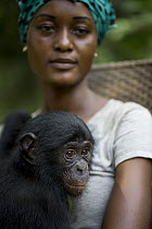 Bonobo (Pan paniscus) surrogate mother with orphan, Lola Ya Bonobo Sanctuary,Democratic Republic of the Congo