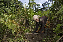 Bonobo (Pan paniscus) conservationist clearing selected area for agriculture, but allowing for greater forest protection for the apes, Democratic Republic of the Congo
