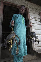 Goliath Frog (Conraua goliath) endangered species hunted for food, Cameroon