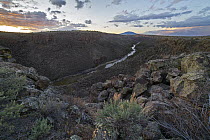 River valley, Rio Grande, Rio Grande del Norte National Monument, New Mexico