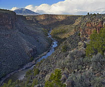 Rio Grande Wild and Scenic River,view from Sheep Crossing to Ute Mountain, Rio Grande del Norte National Monument, New Mexico