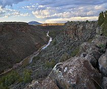Rio Grande Wild and Scenic River, view from Sheep Crossing to Ute Mountain, Rio Grande del Norte National Monument, New Mexico