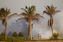 Man spraying pesticides in hotel grounds, Salalah, Oman