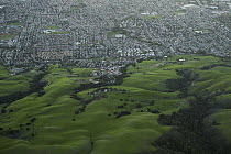 Urban sprawl encroaching on oak savanna, Bay Area, California