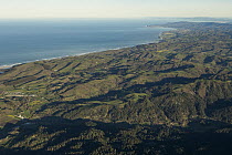 Coniferous forest and northern coastal prairies near coast, Santa Cruz Mountains, Monterey Bay, California