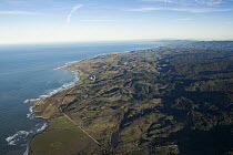 Coniferous forest and northern coastal prairies near coast, Santa Cruz Mountains, Monterey Bay, California