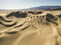 Sand dunes and dune buggies, Dumont Dunes Off-Highway Vehicle Area, California