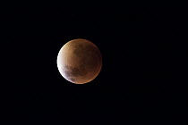 Lunar eclipse, Mana Pools National Park, Zimbabwe