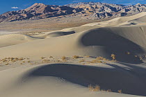 Sand dunes, Eureka Dunes, Last Chance Range, Death Valley National Park, California