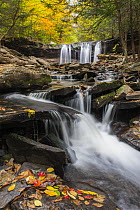 Oneida Falls, Ricketts Glen State Park, Pennsylvania
