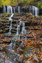 Waterfall in fall, Mohawk Falls, Kitchen Creek, Ricketts Glen State Park, Pennsylvania