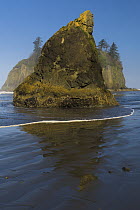 Seastack on coast, Ruby Beach, Olympic National Park, Washington