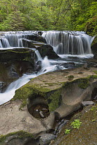 Waterfall, Sweet Creek, Siuslaw National Forest, Oregon