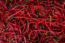Peppers in vegetable market, Biak Island, West Papua, Indonesia