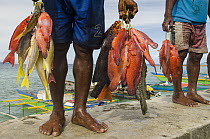 Caught fish, Biak Island, West Papua, Indonesia