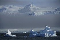 Icebergs and coastal mountains, Antarctic Peninsula, Antarctica
