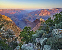 Grand Canyon from Desert View Overlook, Grand Canyon National Park, Arizona