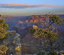 Grand Canyon from Desert View Overlook, Grand Canyon National Park, Arizona