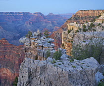 Twilight on Vishnu Temple and Wotans Throne from Mather Point, Grand Canyon National Park, Arizona