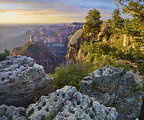 Mount Hayden from Point Imperial, North Rim, Grand Canyon National Park, Arizona