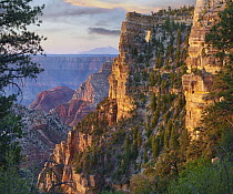 Canyon cliffs, The Window near Walhalla Overlook, North Rim, Grand Canyon National Park, Arizona