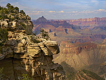 Canyon cliffs, Vishnu Temple from South Rim Trail near Yaki Point, Grand Canyon National Park, Arizona