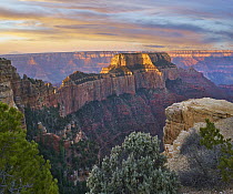 Canyon cliffs, Wotans Throne, Grand Canyon National Park, Arizona