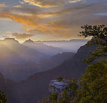 Sunrise at Yavapai Point with Vishnu Temple, Wotans Throne, Grand Canyon National Park, Arizona