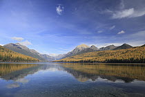 Lake in fall, Bowman Lake, Glacier National Park, Montana