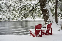 Adirondack chairs along river in winter, Mersey River, Kejimkujik National Park, Nova Scotia, Canada